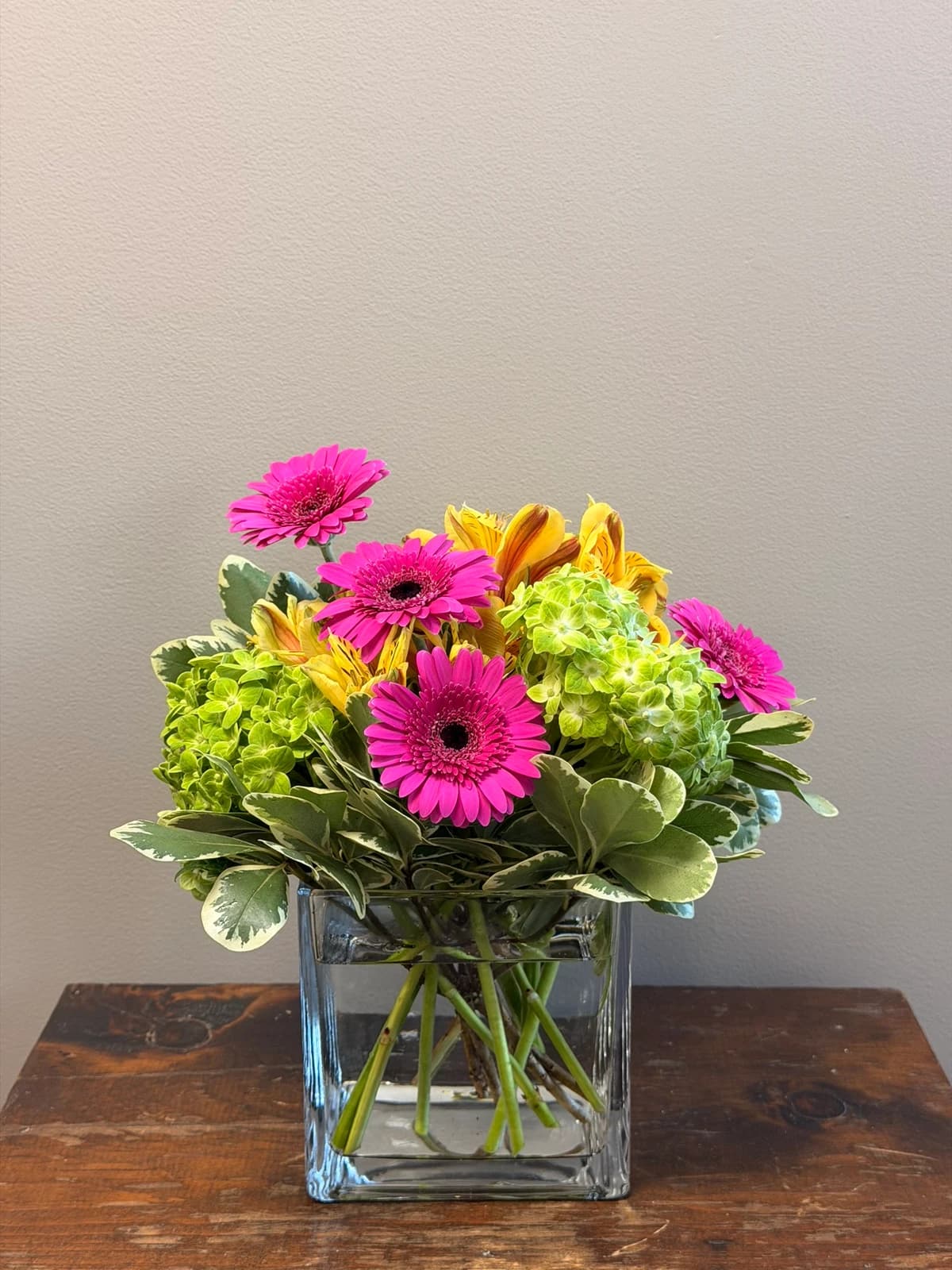 A burst of energy in a vase. Cheerful gerbera daisies mingle with alstroemeria and lush hydrangea, all tucked into variegated foliage for a fresh, garden-fresh finish. Arranged in a clean glass vase, this playful mix is the perfect pick-me-up for a friend having a rough week, a coworker who needs cheering on, or anyone who could use a little extra brightness on the desk or counter.