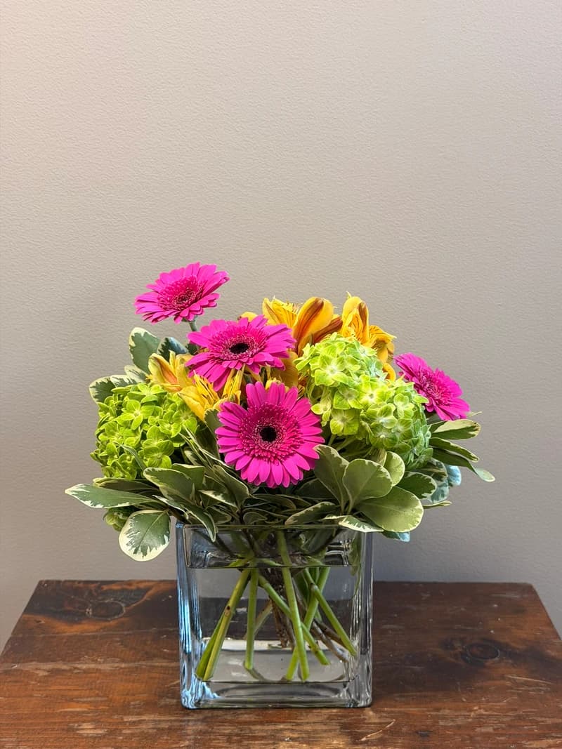 A burst of energy in a vase. Cheerful gerbera daisies mingle with alstroemeria and lush hydrangea, all tucked into variegated foliage for a fresh, garden-fresh finish. Arranged in a clean glass vase, this playful mix is the perfect pick-me-up for a friend having a rough week, a coworker who needs cheering on, or anyone who could use a little extra brightness on the desk or counter.