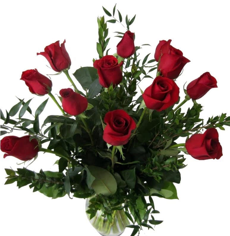 One Dozen Red Roses