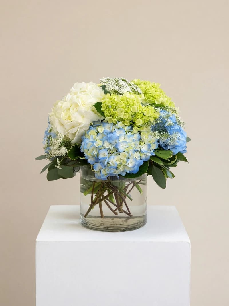Blue, green and white hydrangea with white accent flowers and premium foliage in a large cylinder vase.