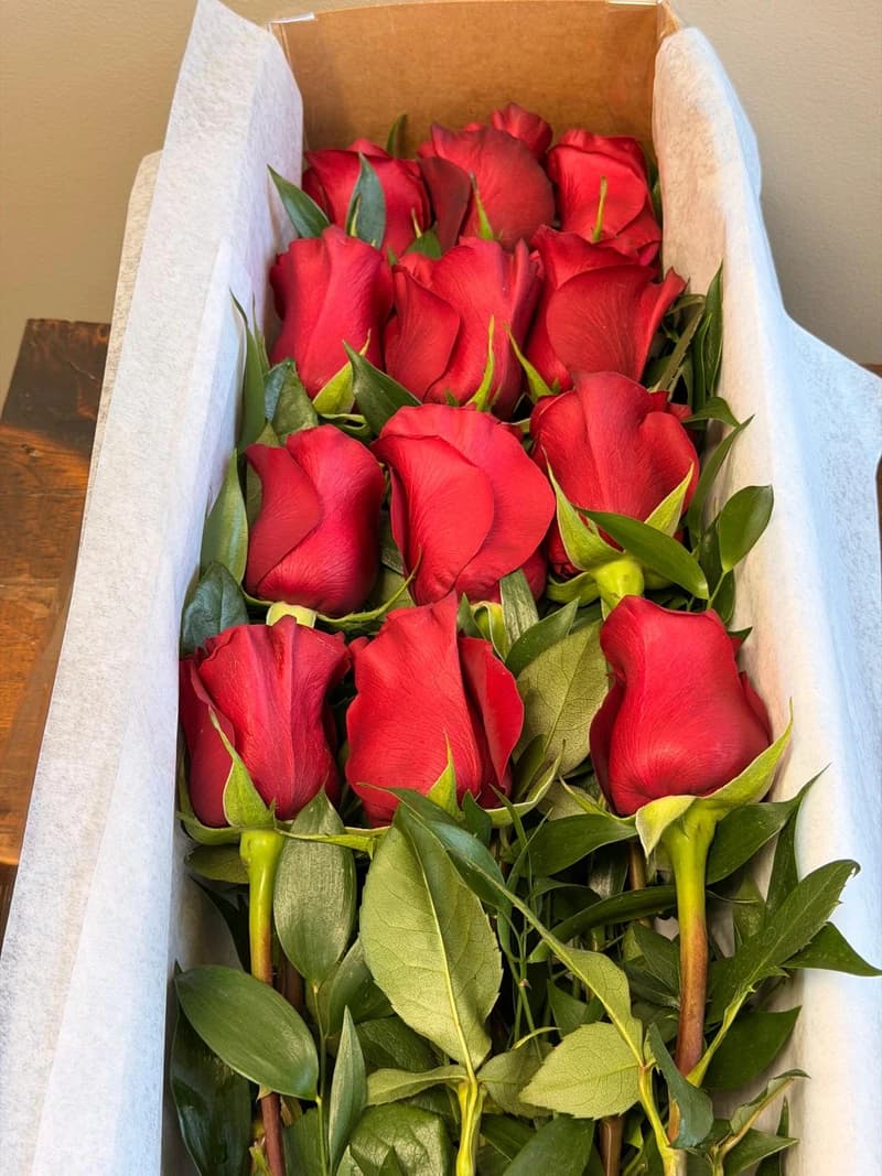 One Dozen Red Roses Boxed