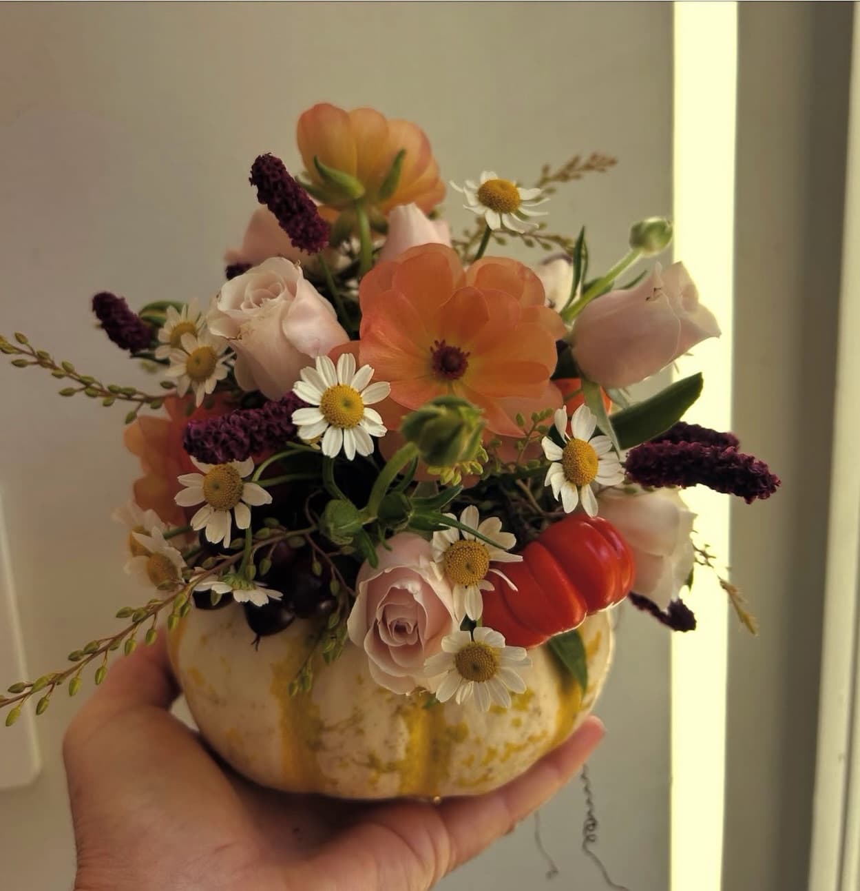 A small white pumpkin filled with peach ranunculus, blush roses and chamomile daisies, held in one hand.